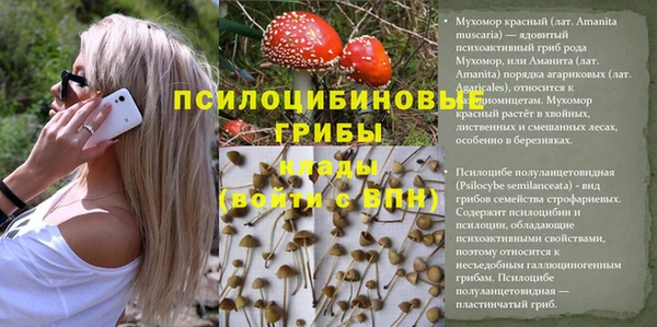 героин Алзамай