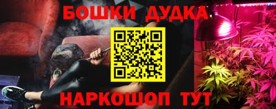 крисы Усть-Илимск