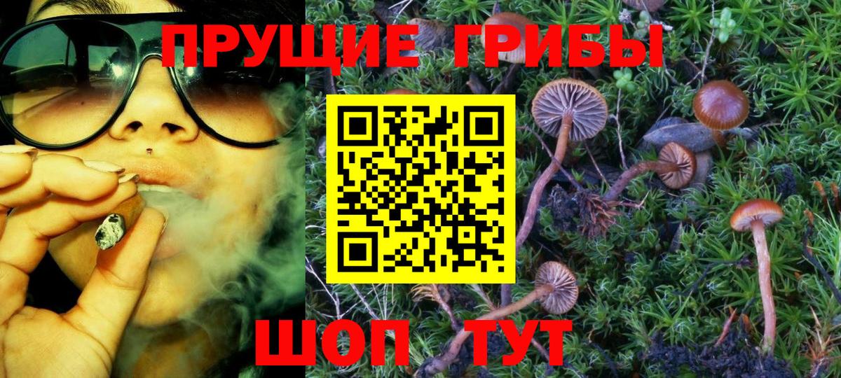 Шуя  Галлюциногенные грибы Cubensis  Псилоцибиновые грибы MAGIC MUSHROOMS  Вход с VPN 