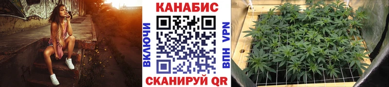 купить наркотики сайты  Шуя  Шишки марихуана марихуана 